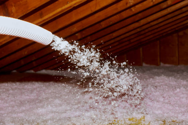 Best Cellulose Insulation  in Jennings, MO