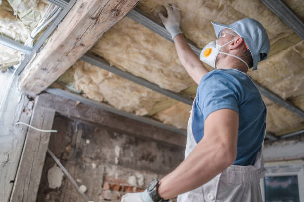 Best Commercial Insulation Contractor  in Jennings, MO