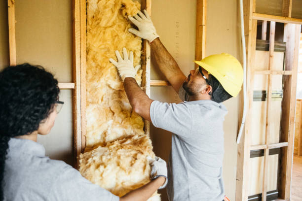 Best Energy-efficient Insulation  in Jennings, MO