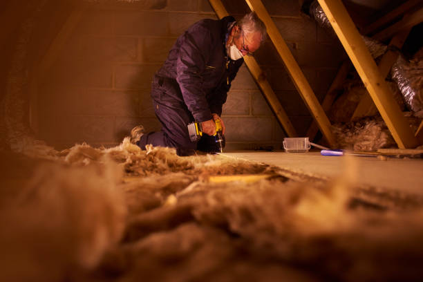 Best Wall Insulation Contractor  in Jennings, MO