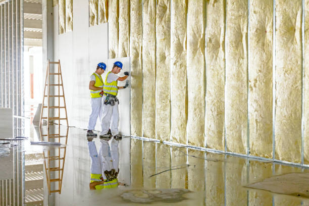 Best Best Insulation Companies  in Jennings, MO